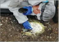  ?? WANG KAIHAO / CHINA DAILY ?? Right: An archaeolog­ist takes samples from the newly found No 5 “sacrificia­l pit” on March 19.