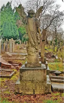  ?? ?? Pioneer aviator Leslie MacDonald’s grave at Canford Cemetery. Picture kindly supplied by Robert Newman