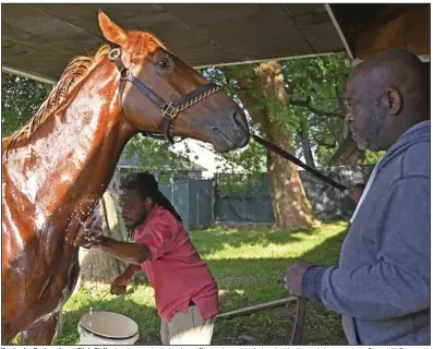  ?? (AP/Timothy D. Easley) ?? Kentucky Derby winner Rich Strike is given a bath by Jerry Dixon Jr. as his father holds the colt last week at Churchill Downs in Louisville, Ky. The Dixons are third- and fourth-generation horsemen in a sport where few Blacks remain.