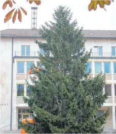  ?? FOTO: ALEXANDER KAYA ?? Neu-Ulms Mitte wurde bereits vor ein paar Tagen von einem Weihnachts­baum geschmückt. Bald folgt der Mittelalte­rmarkt.