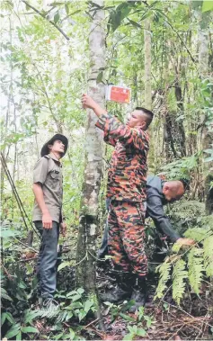  ??  ?? Fire and Rescue members assisted by forest staff install one of the special signboards. — Bernama photo