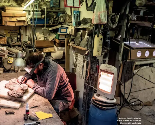  ??  ?? Veteran fossil collector Chris Moore works in his Charmouth workshop