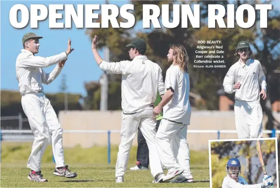  ?? Picture: ALAN BARBER ?? ROO BEAUTY: Anglesea's Ned Cooper and Dale Kerr celebrate a Collendina wicket.