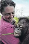  ?? PHOTO: SUPPLIED ?? Perks of the job . . . Dr Green gets up close and personal with an orangutan on a field trip to Indonesia.