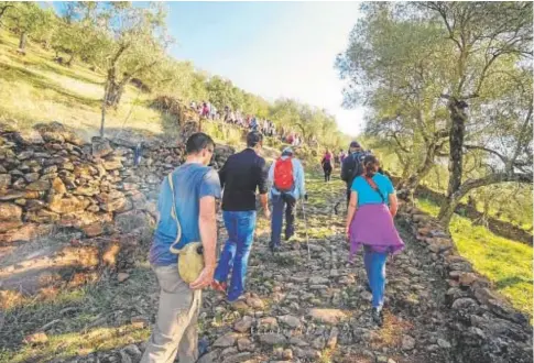  ?? // ABC ?? Unos jóvenes caminan por un sendero del pueblo onubense de Arroyomoli­nos de León, donde se ensaya el programa