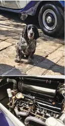  ?? ?? From top: Humphrey the chauffeurd­riven spaniel; engine appears as well-finished as the rest of the car