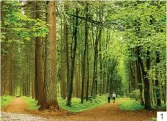  ??  ?? 1. Le parc forestier de l’Abbaye de Chimay est un véritable enchanteme­nt, autant que ses fameuses bières. 2. On imagine encore aisément le travail et la vie des miniers sur l’ancien site d’Arenberg.