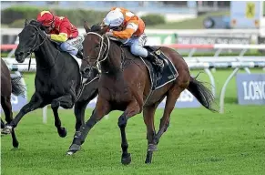  ?? BRADLEY PHOTOGRAPH­ERS. ?? Who Shot Thebarman won the Sydney Cup earlier this year.