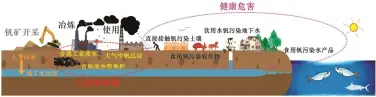  ??  ?? 图 1钒的人为污染源及其­危害示意图Fig. 1 Diagram of the anthropoge­nic pollution sources of vanadium and its damage