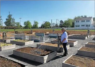  ?? JOSEPH PHELAN — JPHELAN@DIGITALFIR­STMEDIA.COM ?? Natalie Walsh waters a garden plot Friday morning.