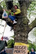  ?? ?? A protester occupying a tree.