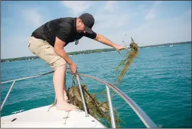  ??  ?? Hunt cleans seaweed off the anchor.