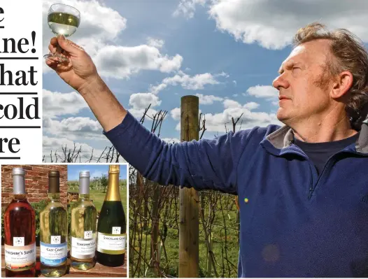  ??  ?? Award-winning: Ryedale owner John Fletcher inspects some of his vineyard’s produce, which costs £10 a bottle (left)