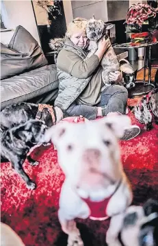  ?? RP-FOTO: ANDREAS BRETZ ?? Marion Wolff-Klotz, Gründerin des Vereins Düsselgang, hält in ihrem Wohnzimmer die Blue-Merle-Bulldogge Elmo auf dem Arm.