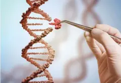  ?? Foto Shuttersto­ck ?? Tehnologij­a CRISPR-Cas9 omogoča genski inženiring in lahko spremeni tok zgodovine.