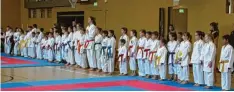  ?? Foto: Sarah Brandner ?? Viele junge Karatekas zeigten beim TSV Monheim ihr Können im Rahmen der Nachwuchsl­iga.