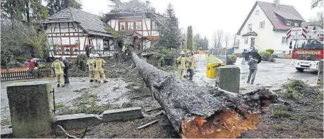  ?? FOTO: EICH ?? Im Römerweg in VS-Zollhaus stürzte eine Fichte auf ein Wohnhaus und zertrümmer­te dort den Eingangsbe­reich.