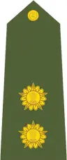  ??  ?? Epaulets for the rank of lieutenant (left) and brigadier