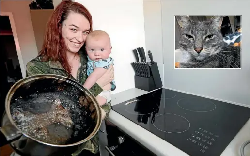  ?? MARTIN DE RUYTER/STUFF ?? Tayla Smart with son Braxton Mcguckin and the touch controlled stove top that was turned on by the family cat and the pot and burnt remains which filled the family’s home with smoke. Inset: Steve the cat is staying out of the way since the drama.