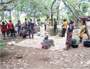  ??  ?? Women and youths represent 90 percent of labour hands in cashew business