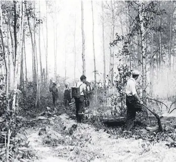  ??  ?? American firefighte­rs try to put out a forest fire out on the mountains.