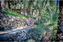  ??  ?? HIDDEN GEMS: The journey leads runners off the tourist tracks, allowing them to explore the Sultanate’s hidden gems.