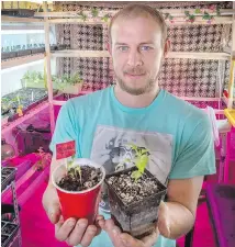  ??  ?? Derik Strenzel planted 300 vegetable varieties inside that he bought online for just $50 US.