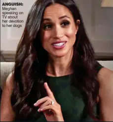  ??  ?? ANGUISH: Meghan speaking on TV about her devotion to her dogs