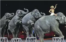  ??  ?? This file photo shows Ringling Bros and Barnum & Bailey circus elephants during Barnum’s FUNundrum in New York.