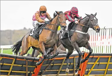  ?? Pic: Francesca Altoft focusonrac­ing.com ?? Elle Est Belle (left) on the way to victory