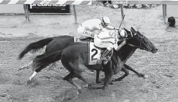  ??  ?? Cloud Computing overtakes Classic Empire at the finish line to win the 142nd Preakness. Always Dreaming faded after dueling with Classic Empire from the start, finishing eighth.