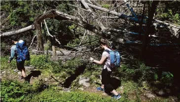  ?? Brian A. Pounds/Hearst Connecticu­t Media ?? Hikers cross a section of Sleeping Giant State Park decimated by a 2018 tornado in the recently re-opened park in Hamden on Sunday, June 23, 2019.