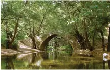  ?? ?? Το παλαιό δασικό μονοπάτι της Παναγιάς Κύκκου στο δάσος της Πάφου είναι προστατευό­μενη περιοχή (Natura 2000).