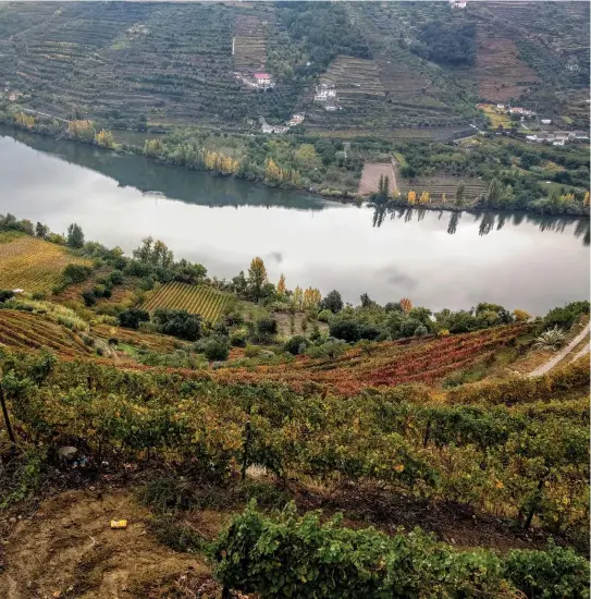  ??  ?? VINEYARDS FOLLOW the contours of the steep canyons.