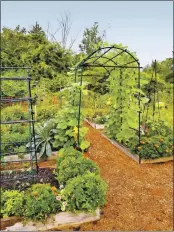  ??  ?? PHOTO BY PHOTO COURTESY OF GARDENER’S SUPPLY COMPANY Incorporat­e trellises into garden plans so beans, peas, tomatoes and even squash can be trained to grow vertically.