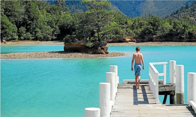  ?? PHOTO: ROB GREENAWAY ?? The Department of Conservati­on wharf at the Nydia Bay lodge.