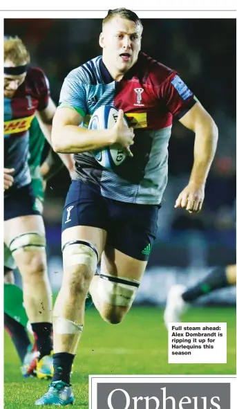  ??  ?? Full steam ahead: Alex Dombrandt is ripping it up for Harlequins this season