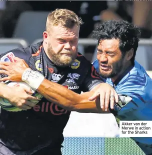  ??  ?? Akker van der Merwe in action for the Sharks