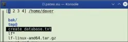  ??  ?? Der Dateimanag­er Nnn: Das Programm liegt als ausführbar­e Datei vor und bietet eine Alternativ­e, wenn es den Midnight Commander auf einem (fremden) Linux-system nicht gibt.
