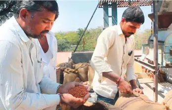  ?? Shafaat Shahbandar­i ?? ■ Mill owner Sharana Basappa Pujari examines the quality of the red gram. The Gulbarga red gram grown in North Karnataka is known for its purity, taste and premium quality.