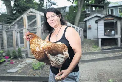  ?? RENÉ JOHNSTON PHOTOS/TORONTO STAR ?? Trish Tervit with her Red Star hen, Pumpkin, and the coop in her Toronto Beaches yard.