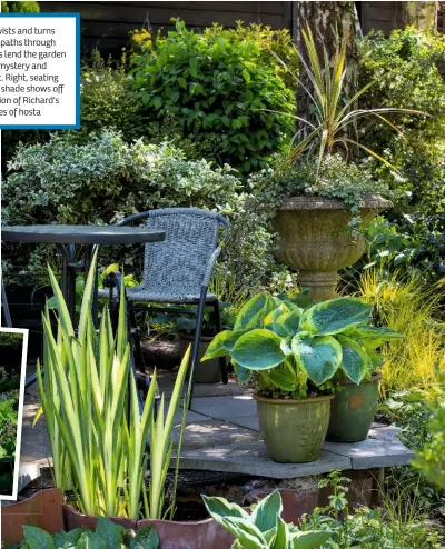  ??  ?? Left, the twists and turns and secret paths through the borders lend the garden a sense of mystery and excitement. Right, seating in dappled shade shows off just a fraction of Richard's 150 varieties of hosta