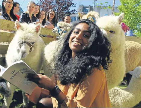  ??  ?? WITH exam season under way, Dundee University Students’ Associatio­n welcomed a herd of fluffy friends to its campus.Alpacas raised at Bowbridge Alpaca Farm in Fife arrived at the university to relax students as the academic year draws to its testing conclusion.Recent studies have shown people who come in contact with cute animals not only get an increase in dopamine — the same chemical released