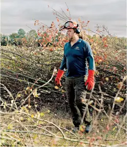  ?? TORI FERENC/WASHINGTON POST ?? Tim Radford, who many think is the future of hedgelayin­g at age 36, was named supreme champion at the recent national championsh­ip.