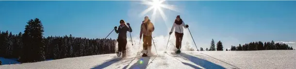  ?? Foto: Guillaume Perret, J3L, akz o ?? Viele Winterspor­tmöglichke­iten wie Schneeschu­hwandern findet man im Schweizer Jura. Auch gibt es ein 3000 Kilometer umfassende­s Loipennetz für Langläufer.