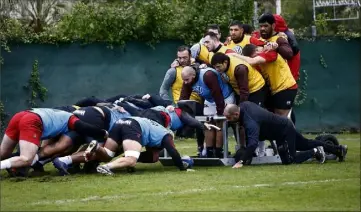  ?? (Photo Patrick Blanchard) ?? Les Toulonnais vont devoir pousser fort et ensemble pour relever la tête et sortir victorieux d’un match annoncé piquant contre les Lyonnais de Pierre Mignoni.