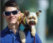  ??  ?? Blues fan Rob Bendnsond walks down King Street with his Yorkie perched on his shoulder,