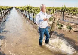  ?? Tomas Ovalle For The Times ?? DON CAMERON, general manager of Terranova Ranch in Helm, Calif., is using high f lows off the Kings River to recharge the San Joaquin Valley aquifer.