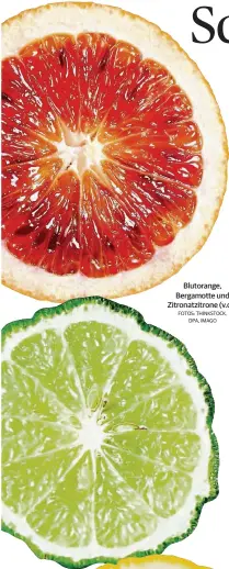  ??  ?? Blutorange, Bergamotte und Zitronatzi­trone (v.o.). FOTOS: THINKSTOCK, DPA, IMAGO