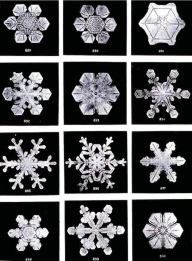  ?? NOAA’S NATIONAL WEATHER SERVICE ?? Plate XIX of “Studies among the Snow Crystals . . .” by Wilson Bentley, who earned the nickname "Snowflake Man” for his deep interest in the delicate crystals. From the Annual Summary of the Monthly Weather Review for 1902.